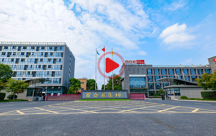 Lily Group Co., Ltd