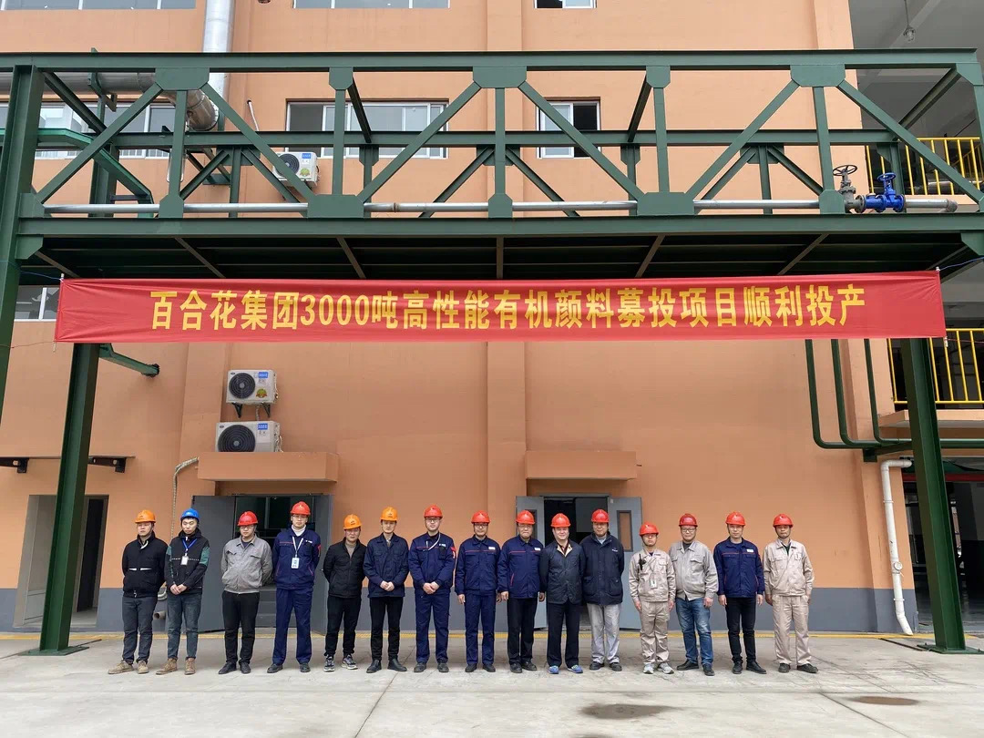 尊龙凯时集团年产3000吨高性能有机颜料募投项目顺利投产